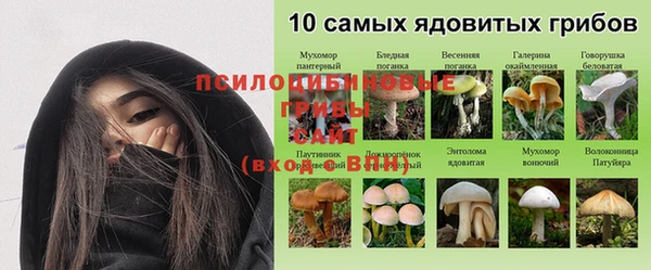 метадон Аркадак