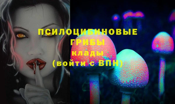метадон Армянск