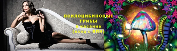 метадон Аркадак