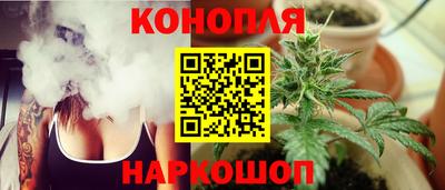 шишки Жуковский