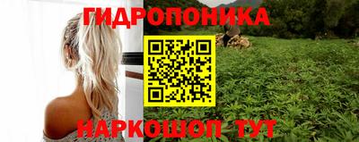 шишки Жуковский