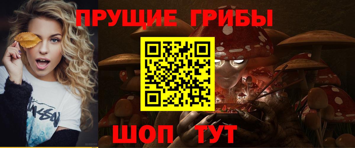 Псилоцибиновые грибы прущие грибы Октябрьский