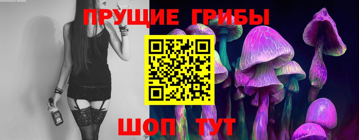 Псилоцибиновые грибы Psilocybine cubensis  Вход с VPN  Октябрьский  Псилоцибиновые грибы мицелий 